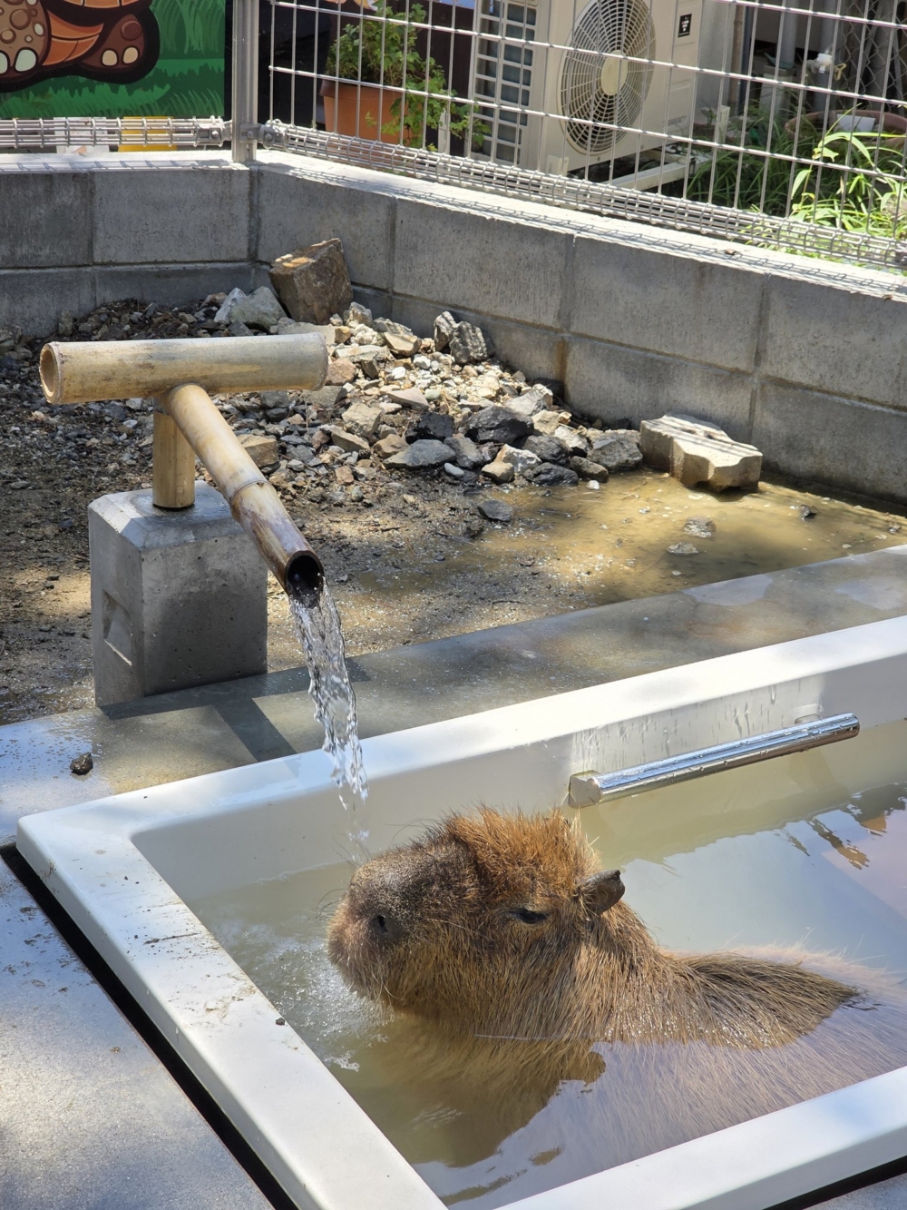 嗯~其實是人家在這裡過的非常安心舒適啦~