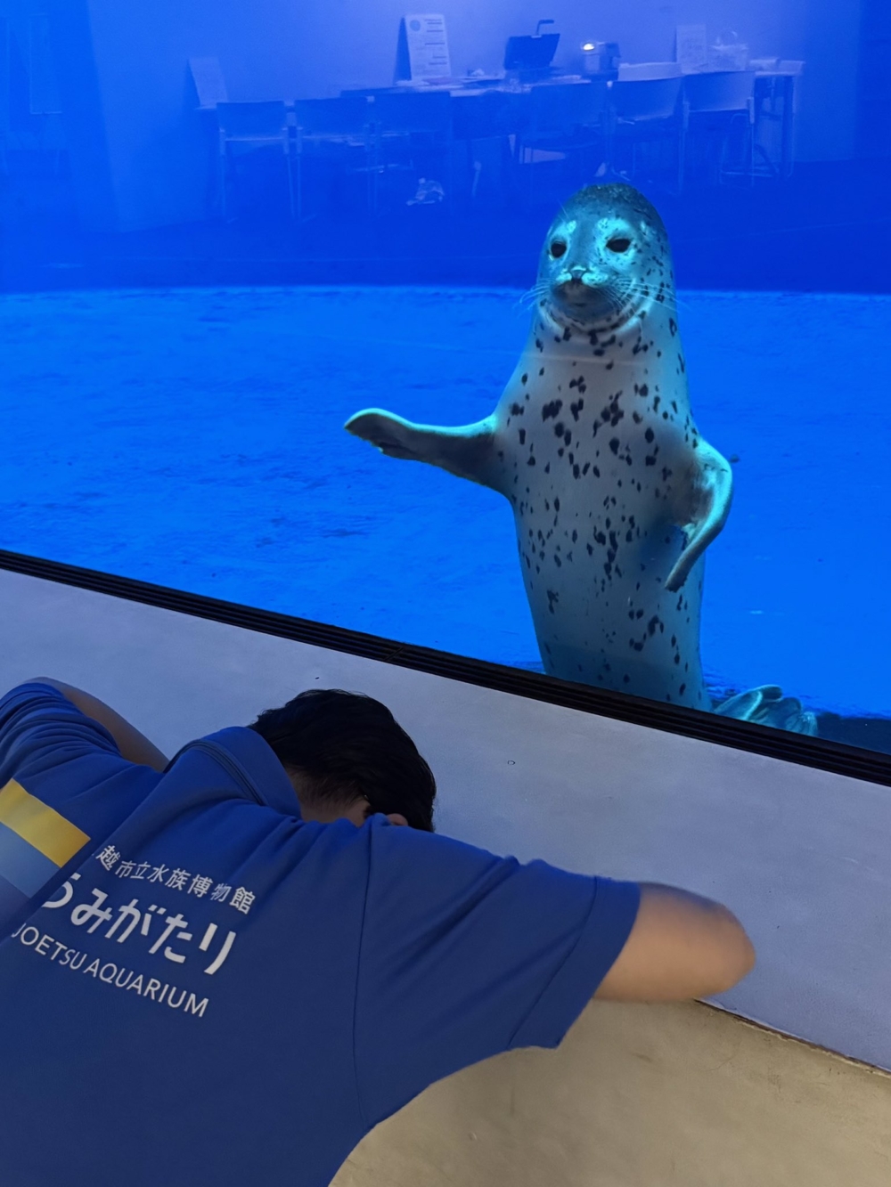 錯寫名字引發的道歉風波🤣