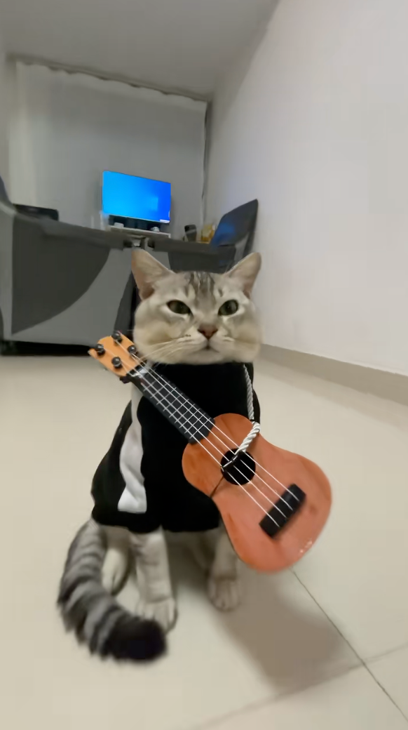 這位吉他手看起來很嚴肅～