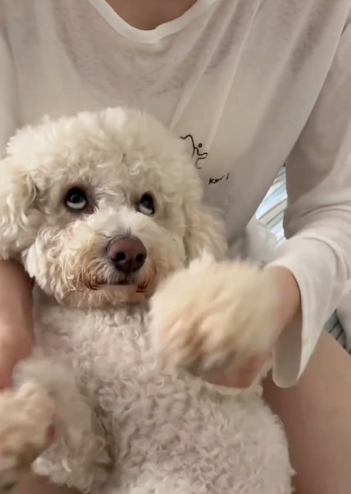 汪：自己又不出鏡喔！