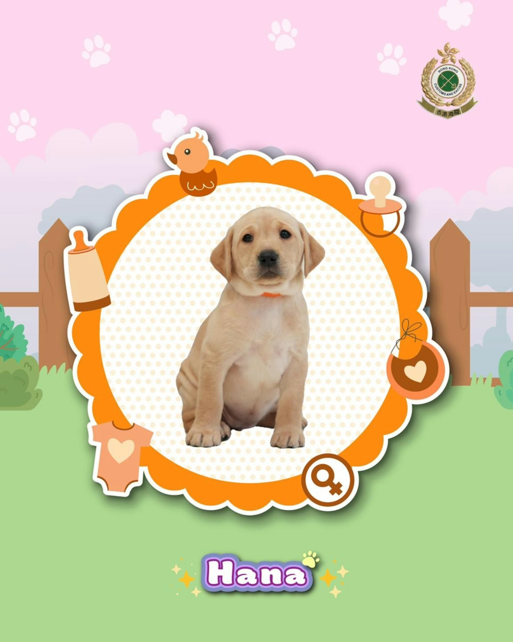 比賽規定每位參加者須替8隻幼犬各取一個英文名，並且首字母依序對應 C、H、A、M、P、I、O、N 八個字母（其中M與O須為兩隻小公狗的名字）。