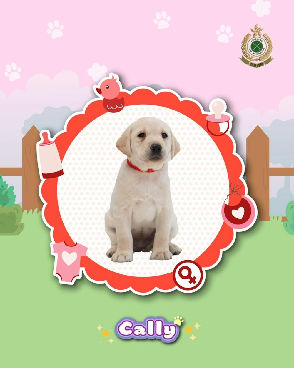 短短兩周徵集期內共收到逾百份創意十足的命名建議！