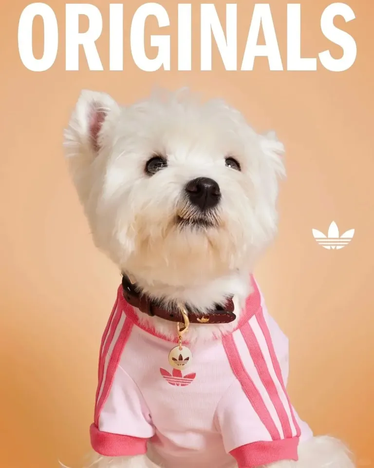 這系列主打的目標顧客，正是那些注重時尚、追求品牌、喜歡和毛孩穿搭風格一致的年輕族群。