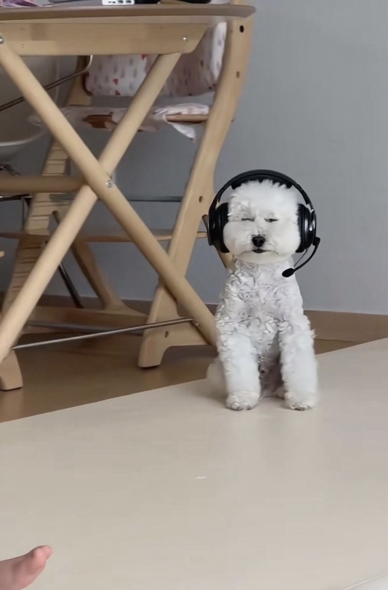 帶上耳機更好笑了！😂