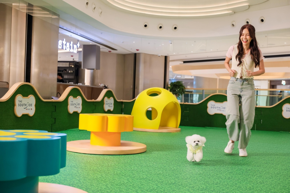 室內寵物活動區。