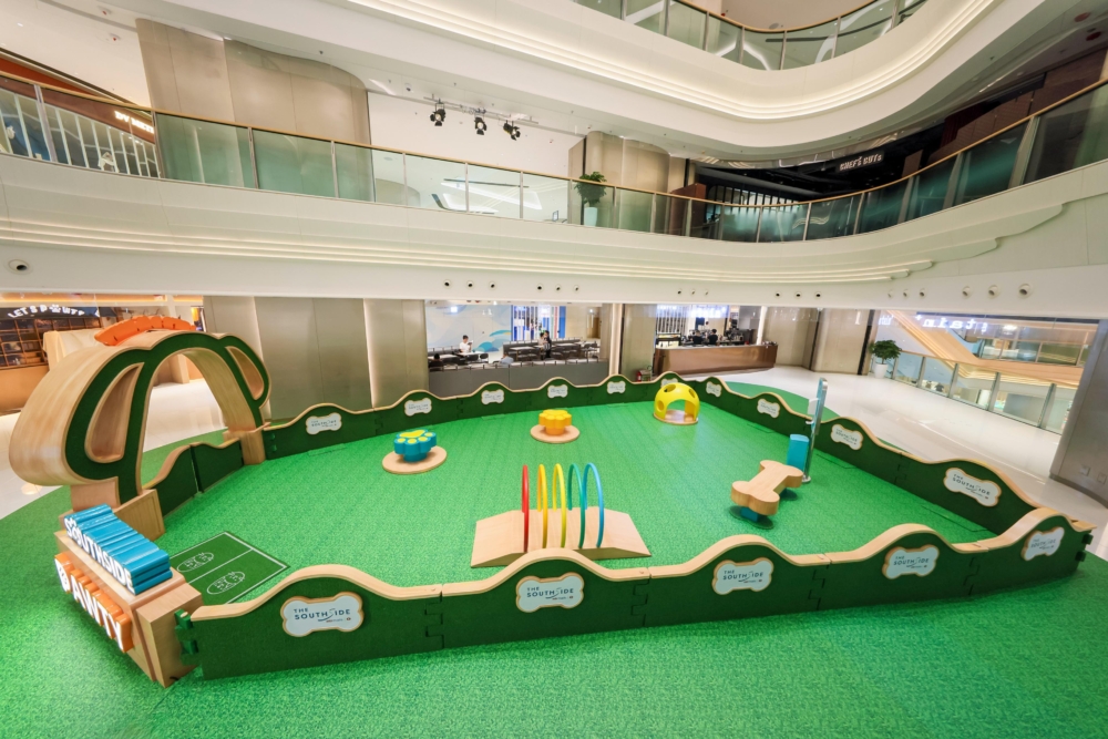 免費入場供貓咪狗狗盡情玩樂。