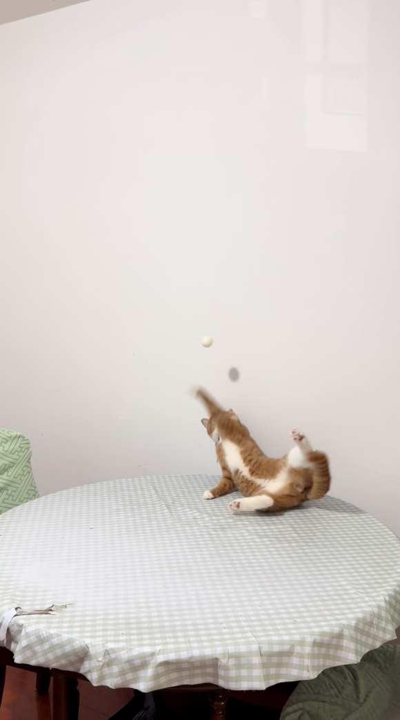 平時在隱藏實力！