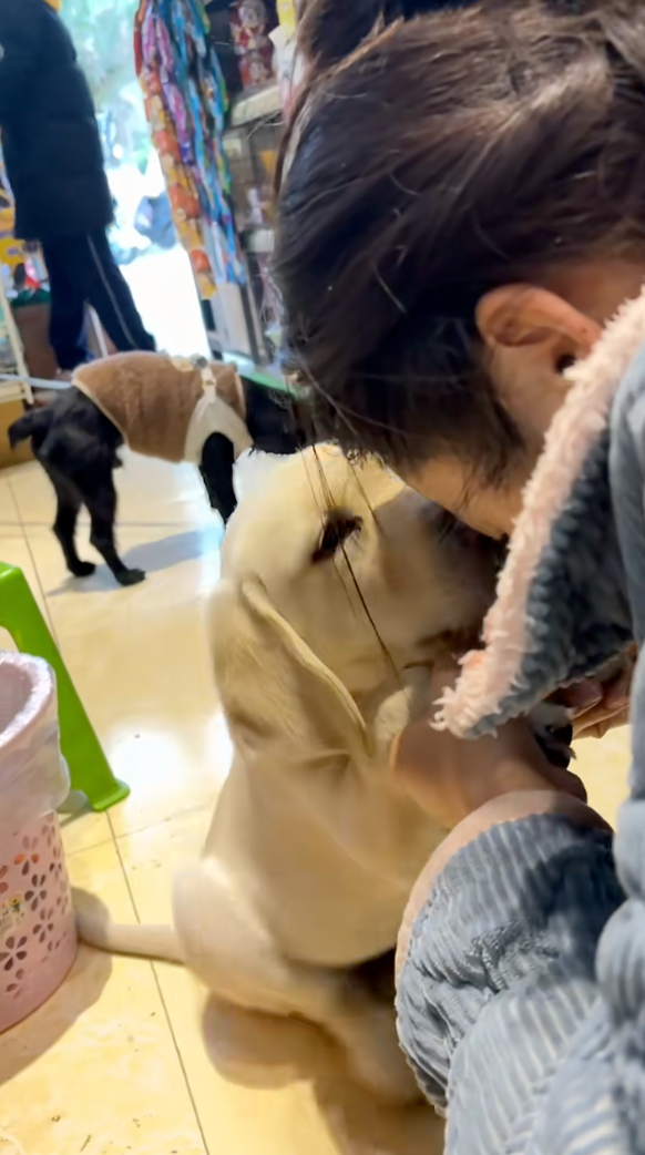 偷偷親主人。😭