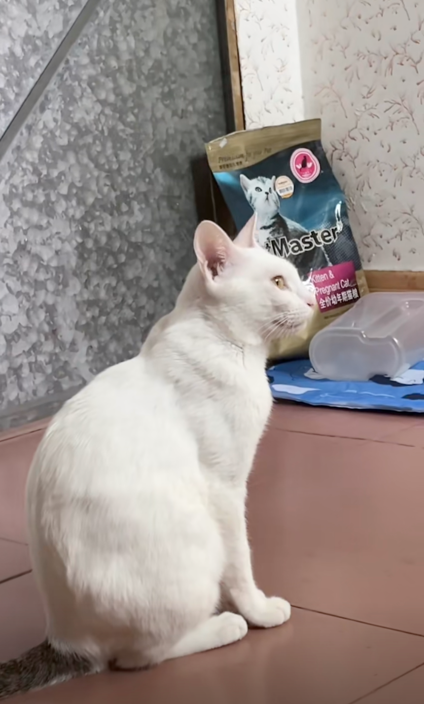 下一秒就被人打！😂