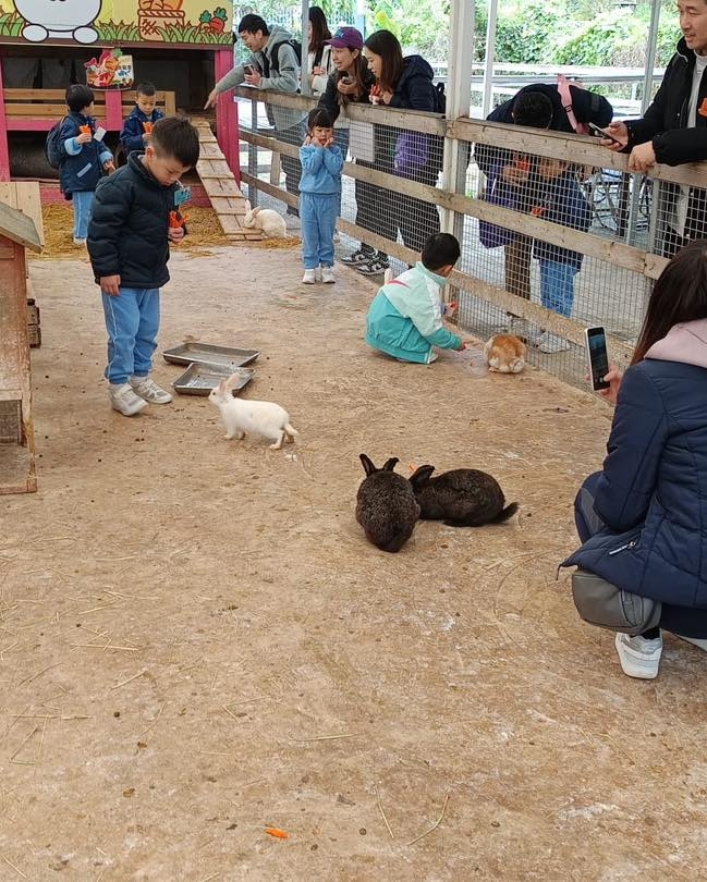 場內現有數十隻不同種類的中小型溫馴動物