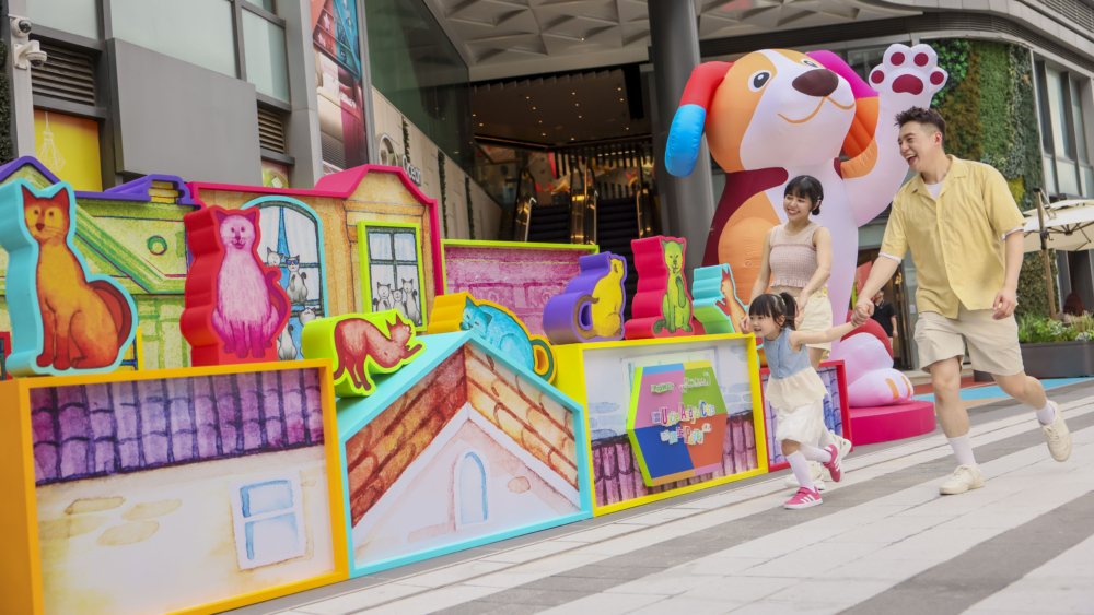 有機會與貓咪們一同出遊，體驗如貓咪視角般的探索過程。 