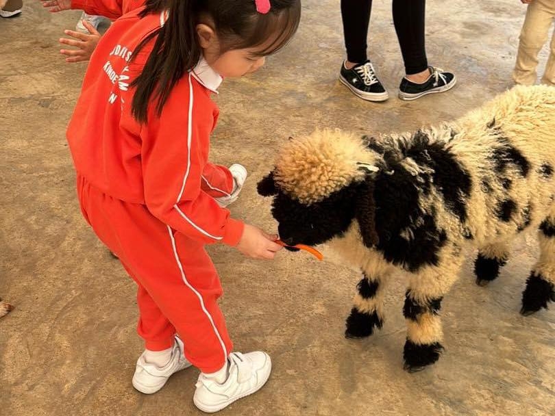 遊客可在入口購買飼料包，包括乾草、兔糧及專用穀物。