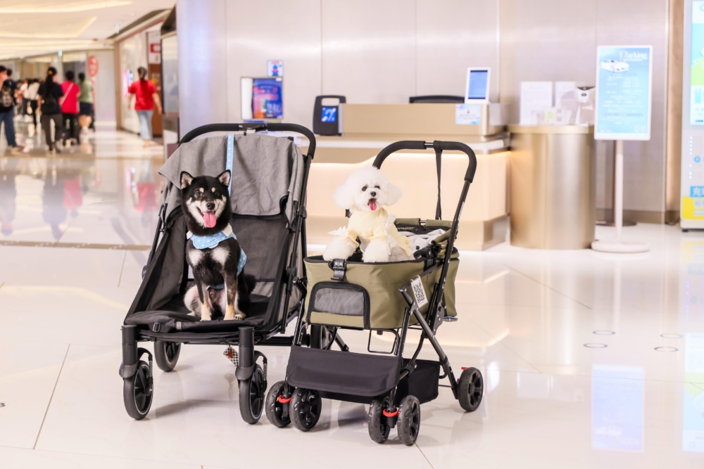 寵物推車租借服務。