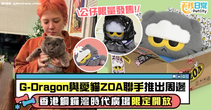 G-Dragon「ZO&FRIENDS」Pop-up Store香港開幕！銅鑼灣時代廣場限時發售可愛毛絨公仔