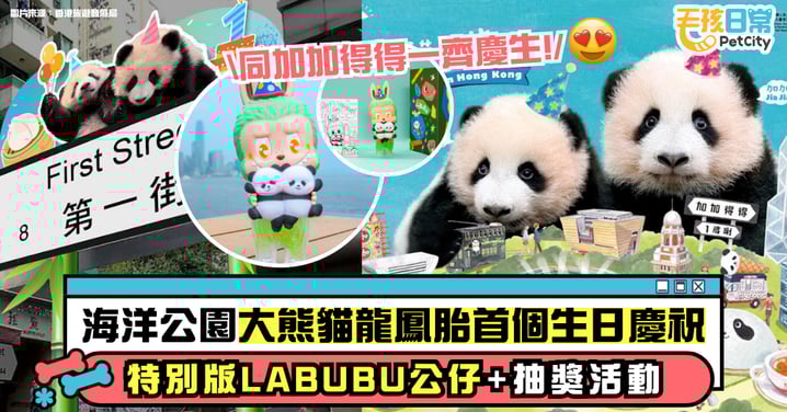 海洋公園大熊貓龍鳳胎首度生日慶祝!特別版LABUBU毛絨玩具+抽獎活動等你來參加!