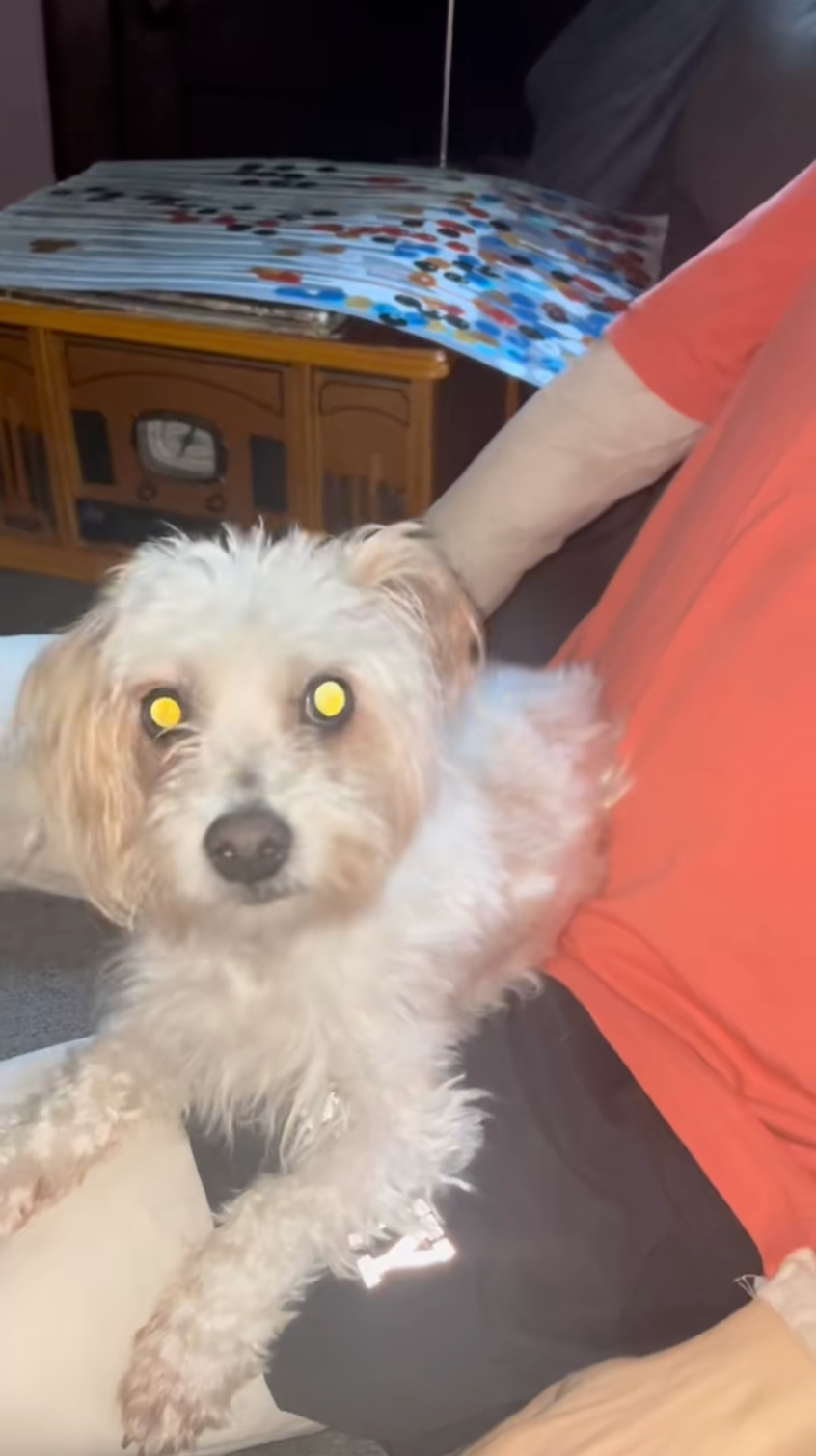 這招居然行得通？