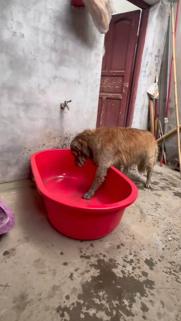 玩到全身骯髒後悄悄走回家。