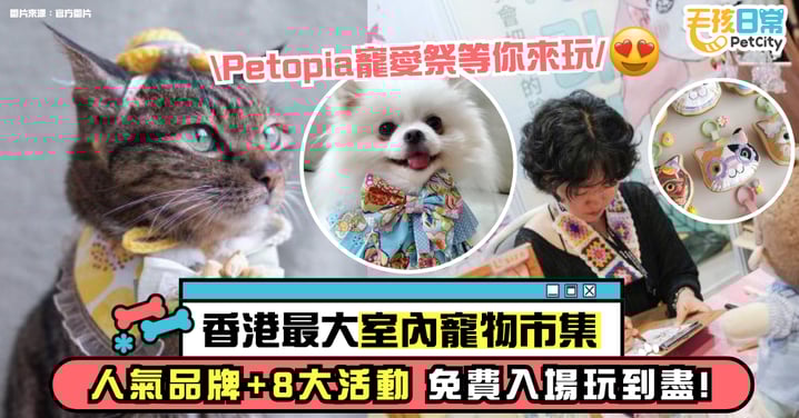 【Petopia寵愛祭2025】80個人氣寵物及文創品牌登陸雙子匯TT SITE！SOGO聯乘打造夏日最強室內寵物樂園