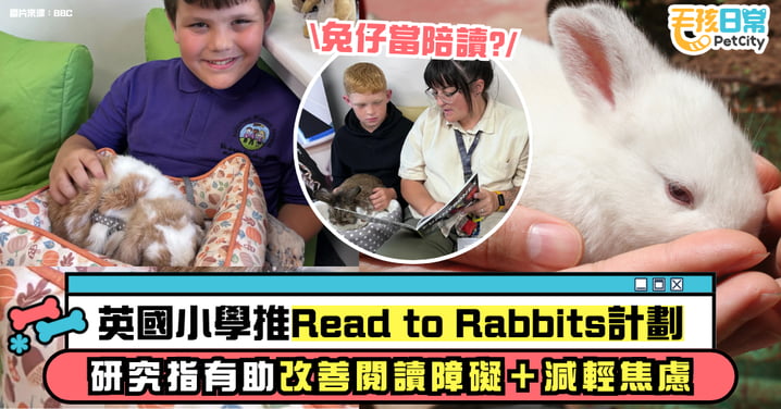 英國學生讀書俾兔仔聽?小學推「Read to Rabbits」計劃 助改善閱讀障礙+減輕焦慮