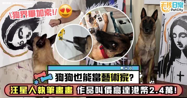 狗狗也能當藝術家?汪星人Monkey執筆畫畫成藝術新星 每幅作品叫價高達港幣2.4萬 !
