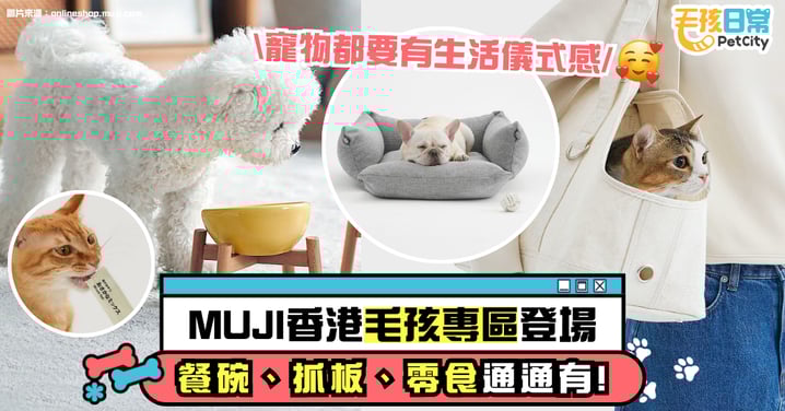 MUJI 香港毛孩專區登場!餐碗、抓板、零食全都有 生活儀式感瞬間升級!