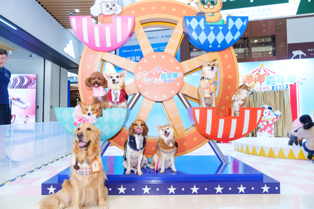 現場直擊!玩轉嘉年華:毛孩大比拼、打卡影相