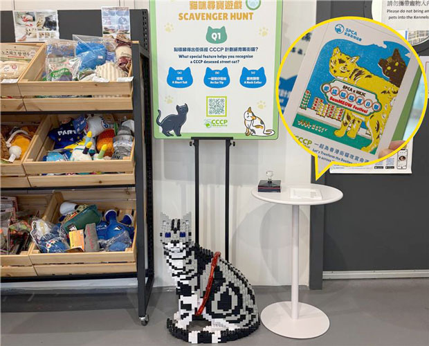 JEKCA 貓咪造型積木