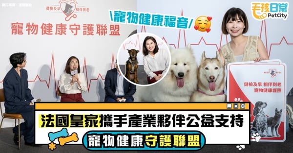法國皇家攜手產業夥伴公益支持 「寵物健康守護聯盟」成立！結合獸醫、專家學者，為飼主守護寵物健康帶來一大福音！