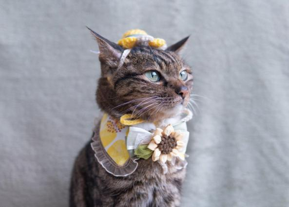 主題打卡區 Photo Spot