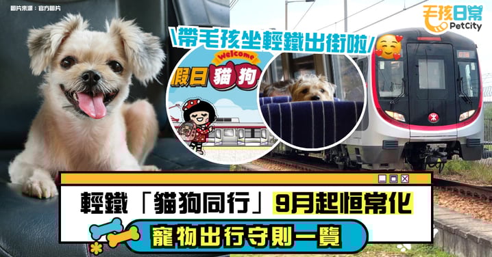 輕鐵「貓狗同行」計劃 9月起恒常化　攜帶寵物乘車規定一覽
