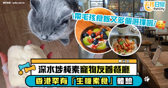 【寵物友善餐廳】深水埗純素餐廳推薦｜香港罕有「生機素食」體驗