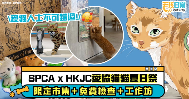 SPCA x HKJC 愛協貓貓夏日祭8月登場　青衣中心兩日限定市集＋免費檢查＋工作坊