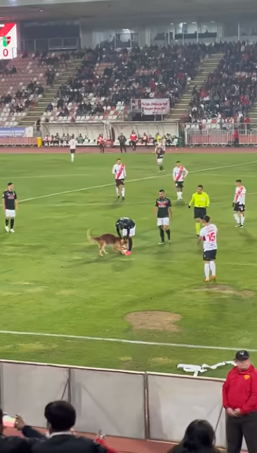 外國早有先例　家庭式體驗受歡迎。