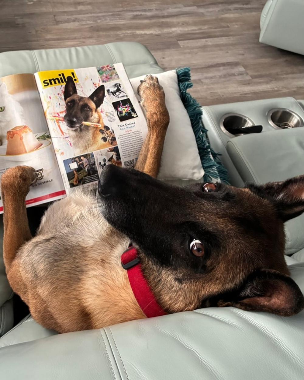 不少網民開始讓自家寵物嘗試「塗鴉初體驗」，形成一股「寵物藝術風潮」。