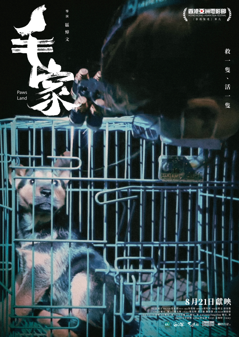 《毛家》是導演區焯文的全新紀錄片作品，預計於2025年8月21日正式上映。