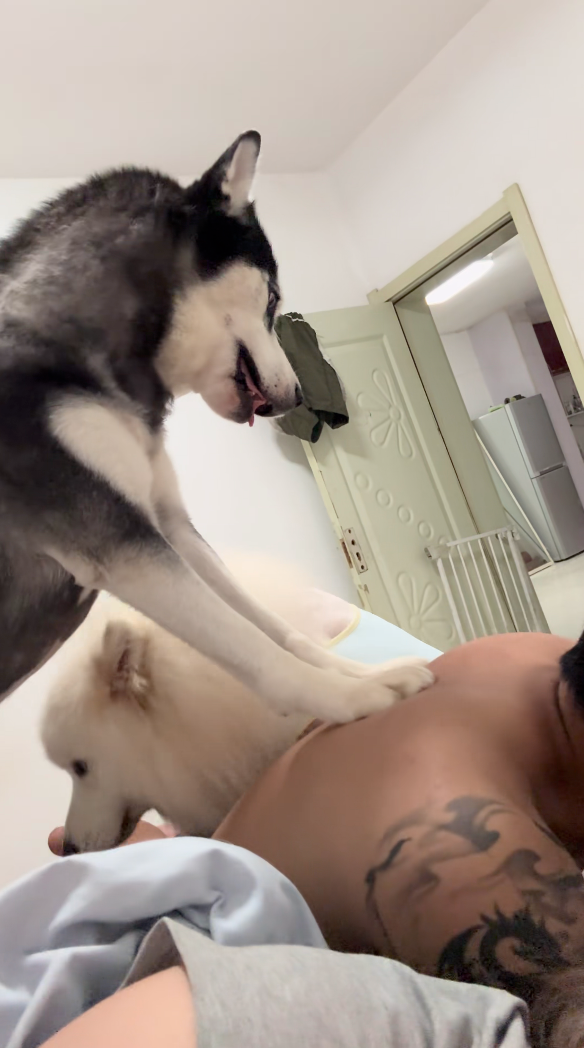 汪：我要開始了喔？