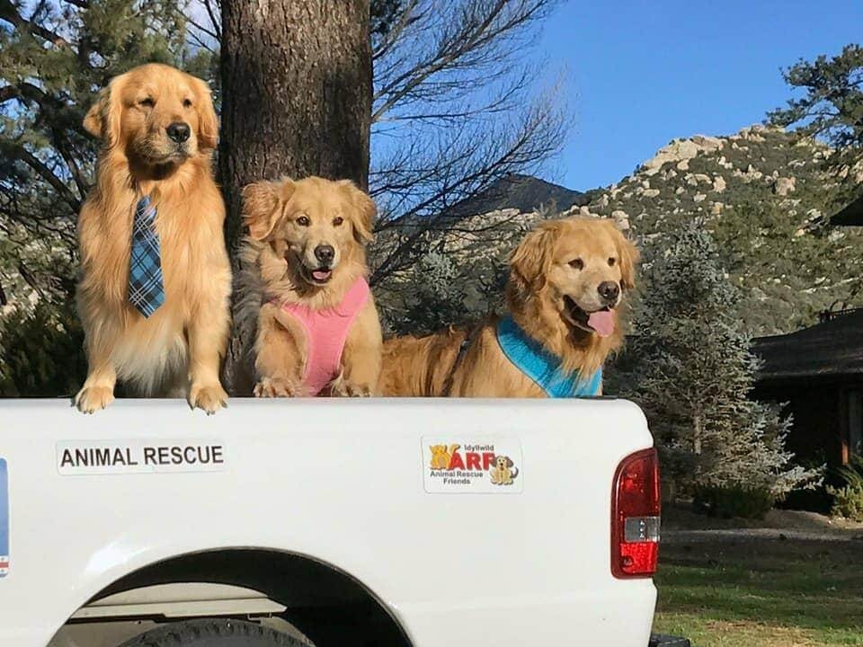 Max 家族三代接任，全鎮人氣擔當！