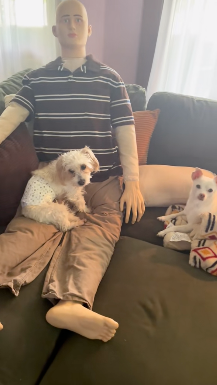 直到有網友提議，不如做個「假室友」陪牠。