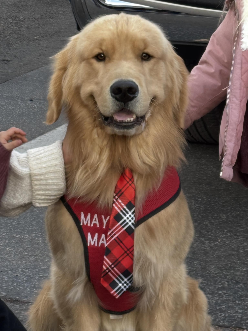 位於南加州高山地區的 Idyllwild，是一個被群山與松林包圍的小鎮，海拔約 5,300 英尺。這裡不僅風景宜人，是健行、露營與攀岩好手的天堂，近年來更因「狗狗鎮長」而聞名，被選為 2025 年最適合居住的地點之一。