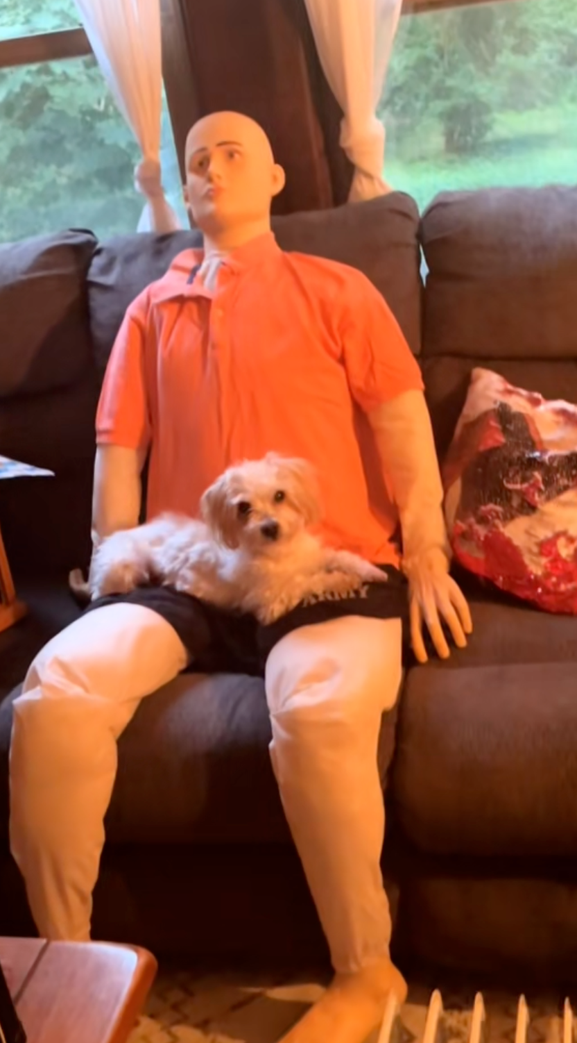 狗狗患有嚴重分離焦慮症。