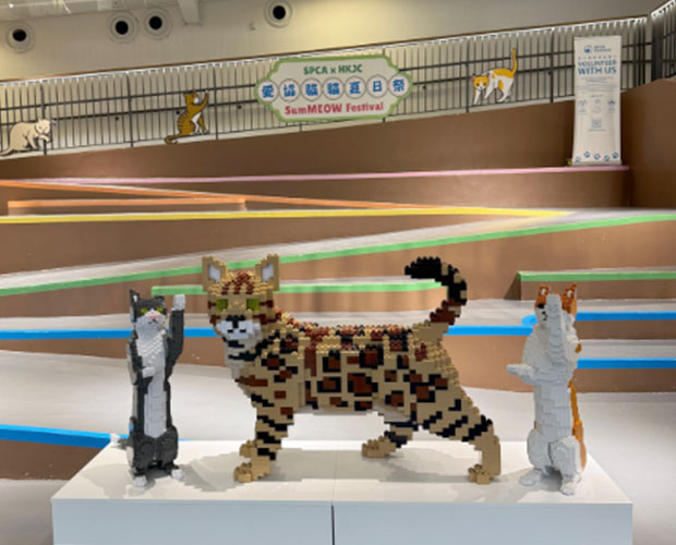 JEKCA 貓咪積木打卡位