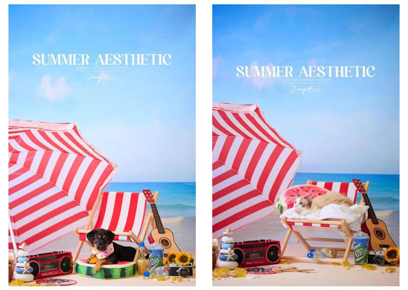 DANNY KWAN 寵物攝影