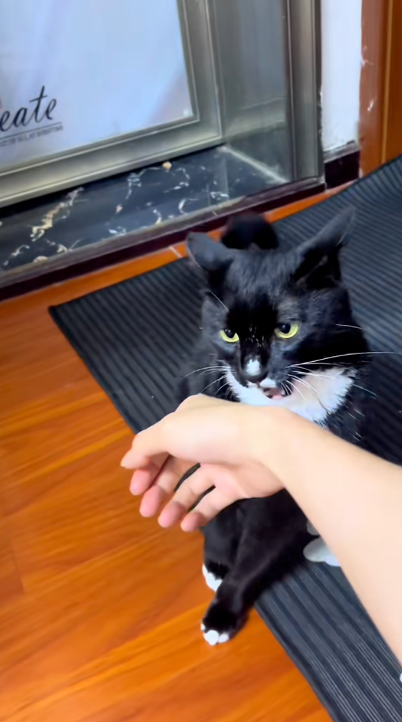 對媽媽：不要劃出傷口。