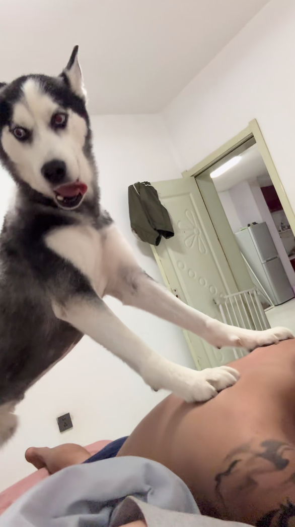 汪：媽媽妳說我按的對嗎？