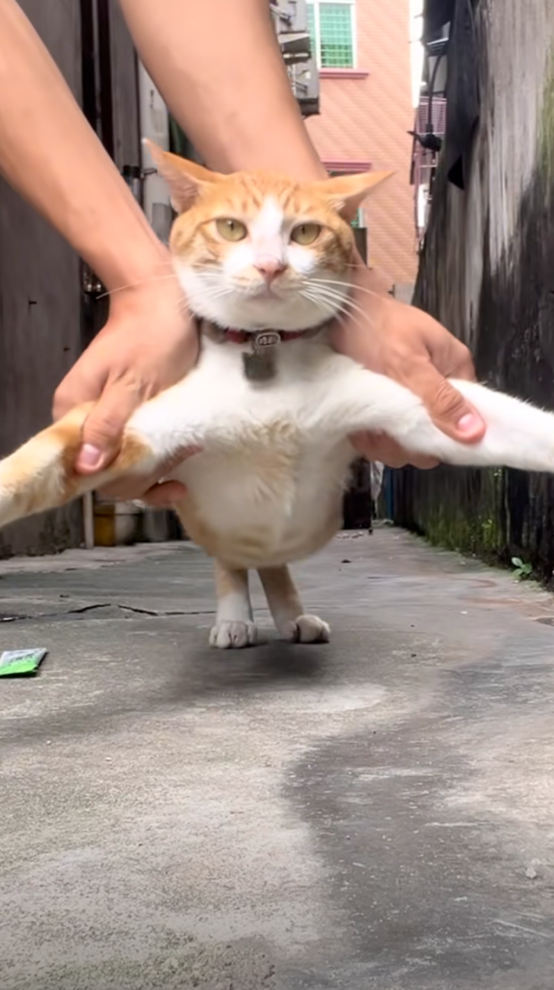 臉上寫著滿滿的不願意。