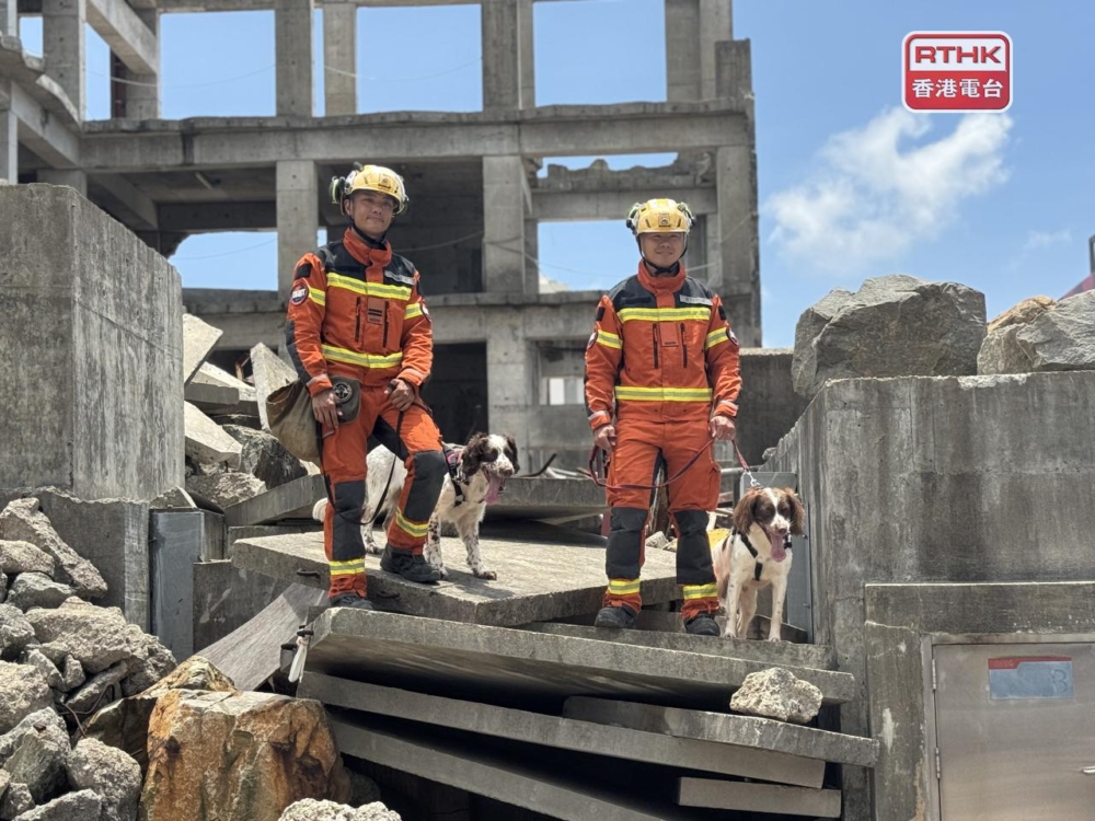 香港消防處消防犬隊近年多次參加國際救援任務，表現備受肯定。