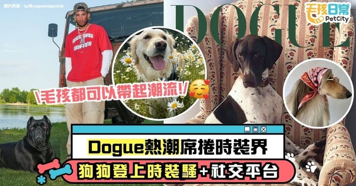 Dogue 熱潮席捲時尚界｜狗狗成為伸展台與社群新主角 毛孩也能引領潮流！