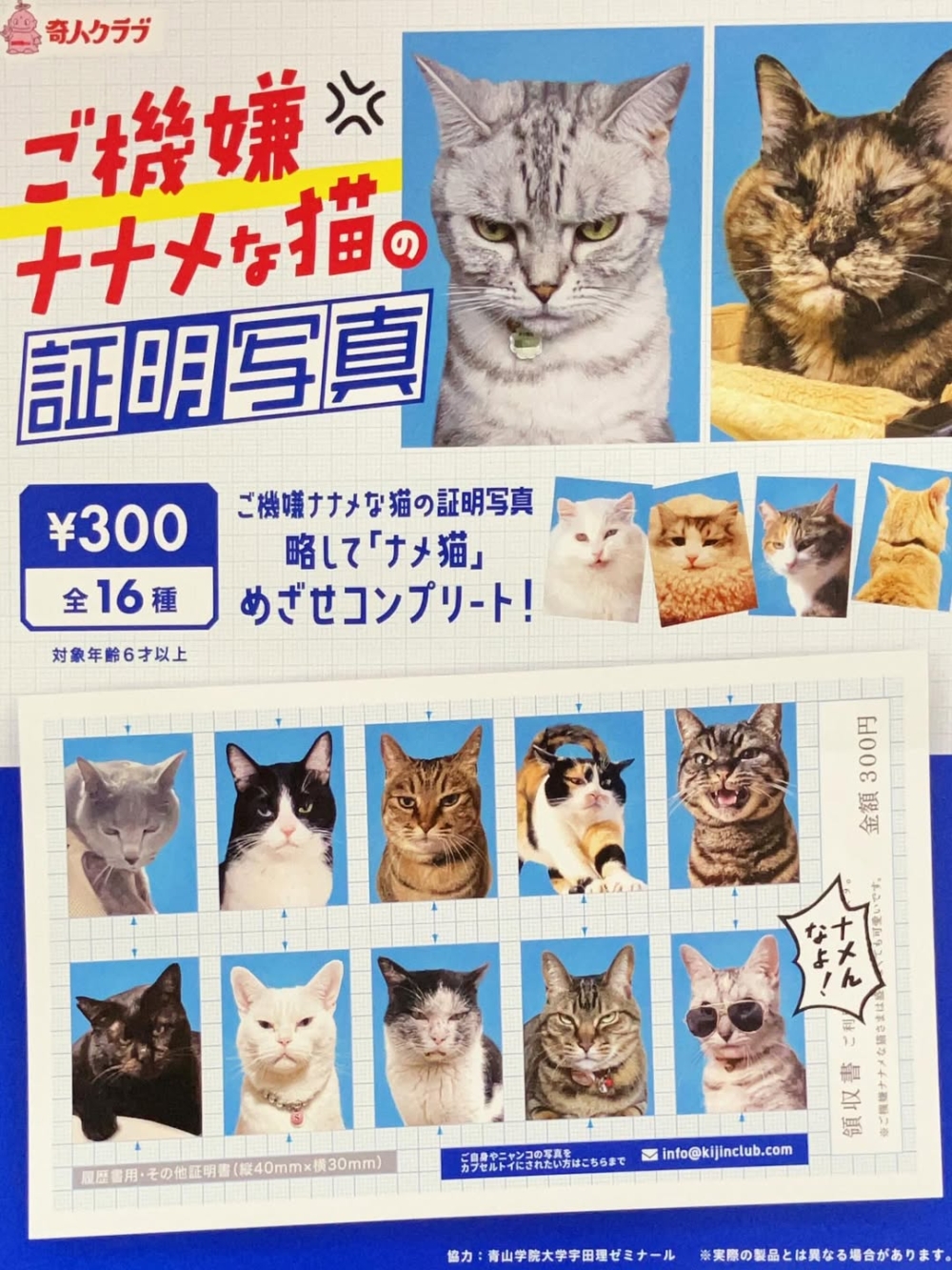 怎麼貓咪的是臉臭版本的？🤣