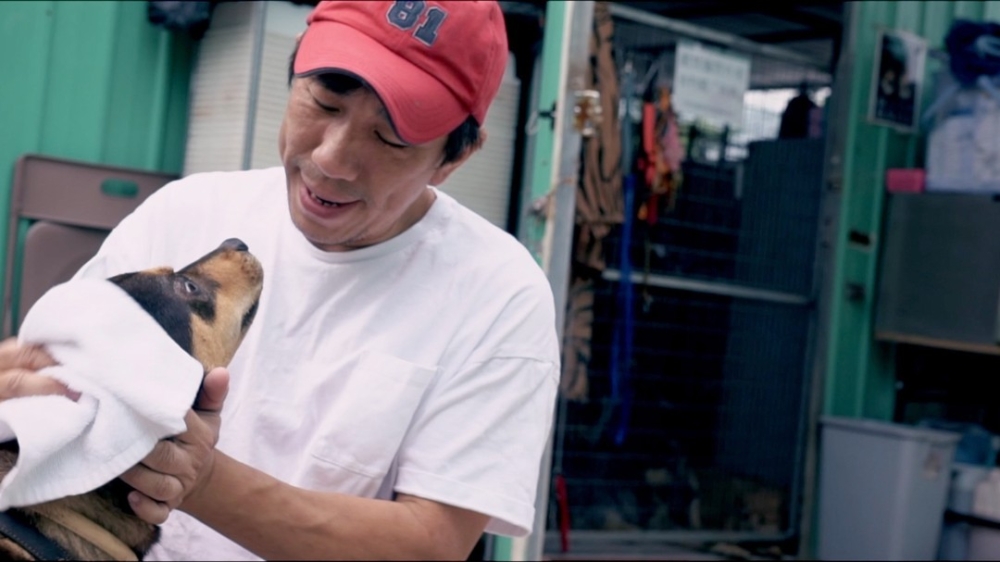 導演區焯文再度以紀錄片形式來詮釋動物救援議題，並帶領觀眾進入這些拯救故事的核心。