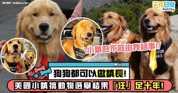 狗狗都可以做鎮長？南加州小鎮冇人出選 結果毛孩上位旺足十年！